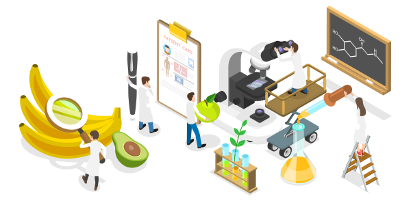 Food Science vector image