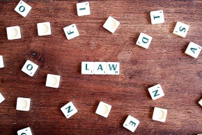 The Key Cases for A Level OCR Law: Paper 1A: The Legal System